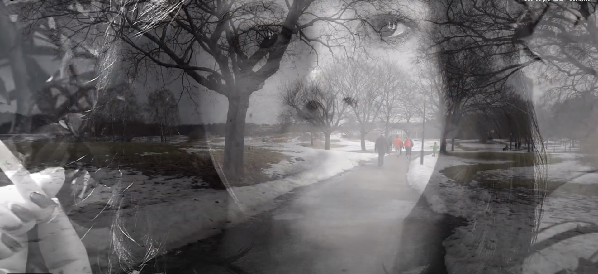 BRUTTI SPORCHI CATTIVI - NAPOLI STOCCOLMA